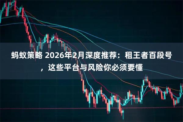 蚂蚁策略 2026年2月深度推荐：租王者百段号，这些平台与风险你必须要懂