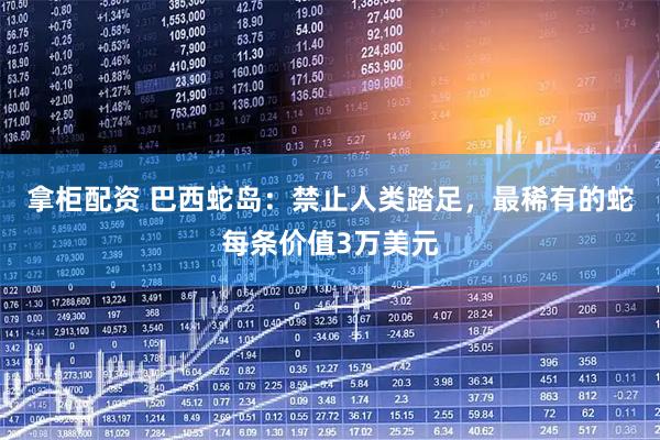 拿柜配资 巴西蛇岛：禁止人类踏足，最稀有的蛇每条价值3万美元